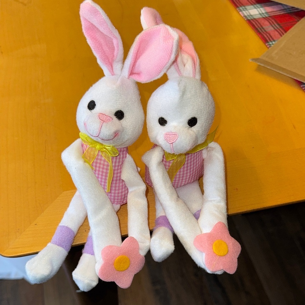Adorable Pink and White Bunny Plush Set